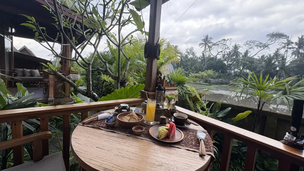 Lush rice terraces around Ubud