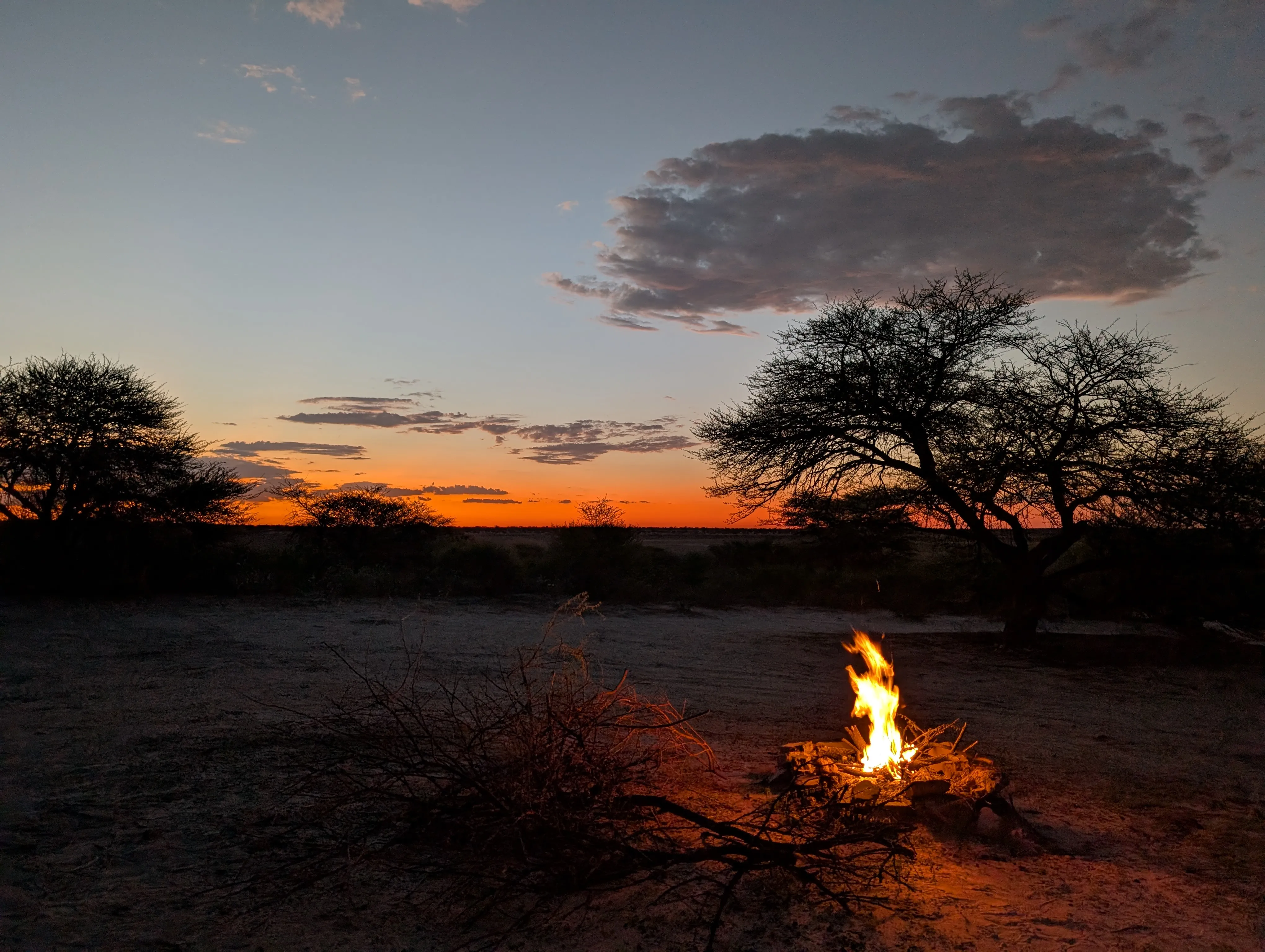A campfire burning at dusk with a vibrant orange sunset over the African bush.