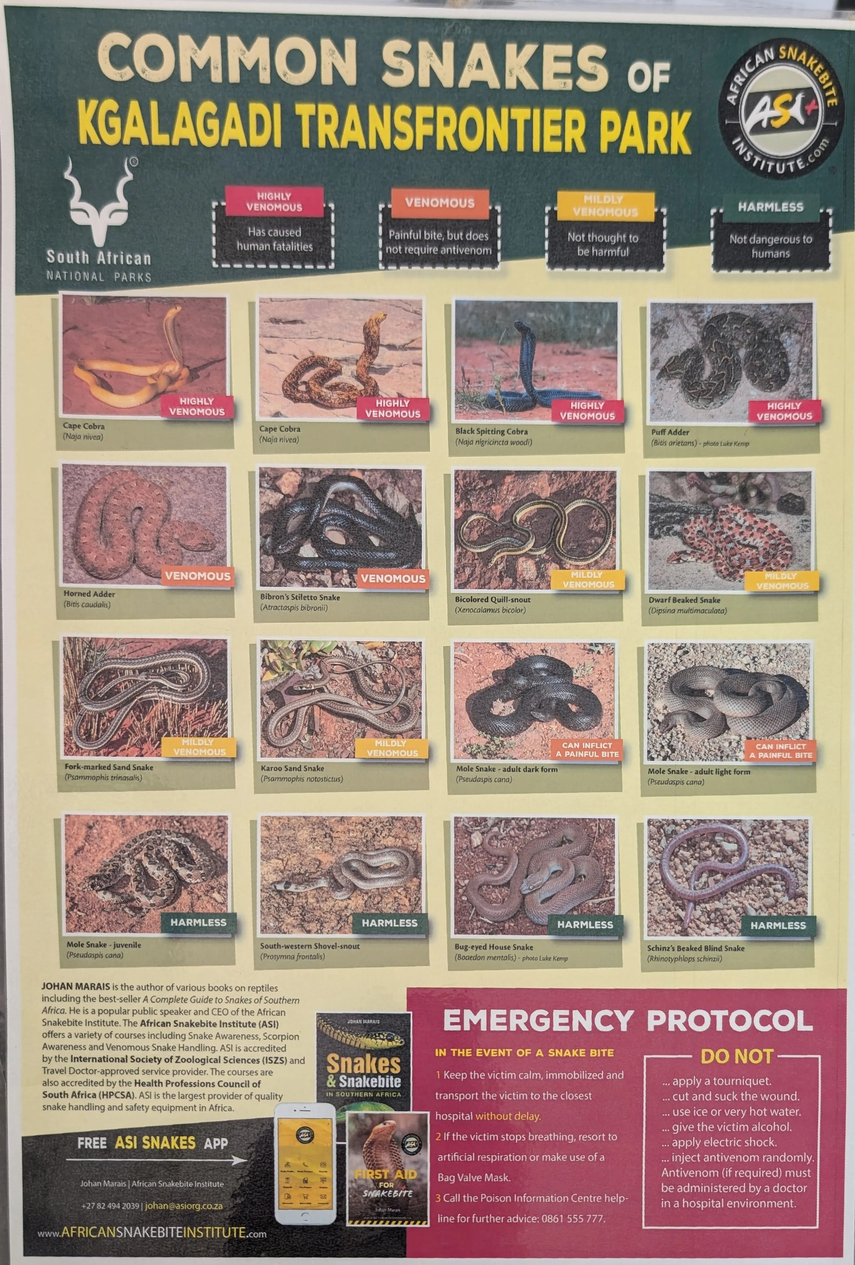Informational poster displaying photos and names of common snakes found in Kgalagadi Transfrontier Park, along with safety tips and an emergency protocol section.